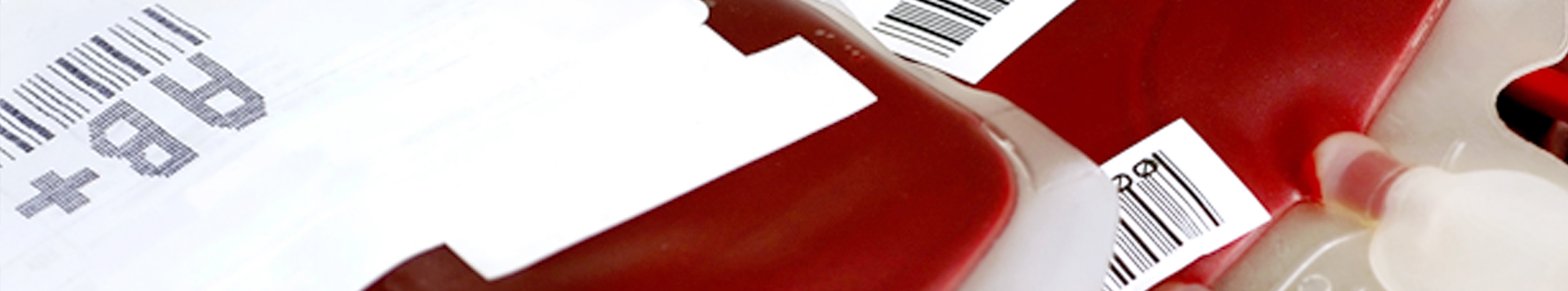 Winter Kuehlfahrzeuge_Bluttransport_Ausschnitt3